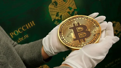 Какую криптовалюту официально разрешат покупать обычным россиянам